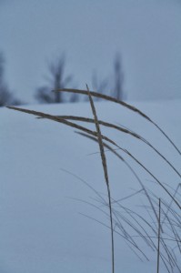 IMG_5402