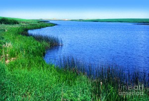lake of shining waters
