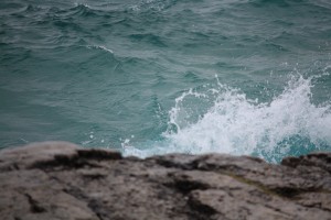 IMG_7200