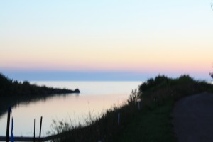 IMG_7364